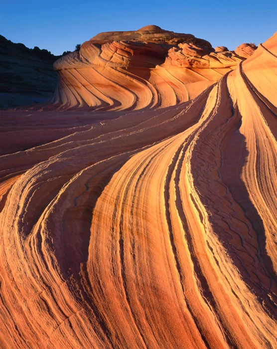 The Wave Paria Plateau Vermilion Cliffs, Arizona / Tirage Cibachrome