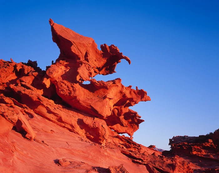 Raptor The Gold Butte Little Finland, Nevada / Tirage Cibachrome