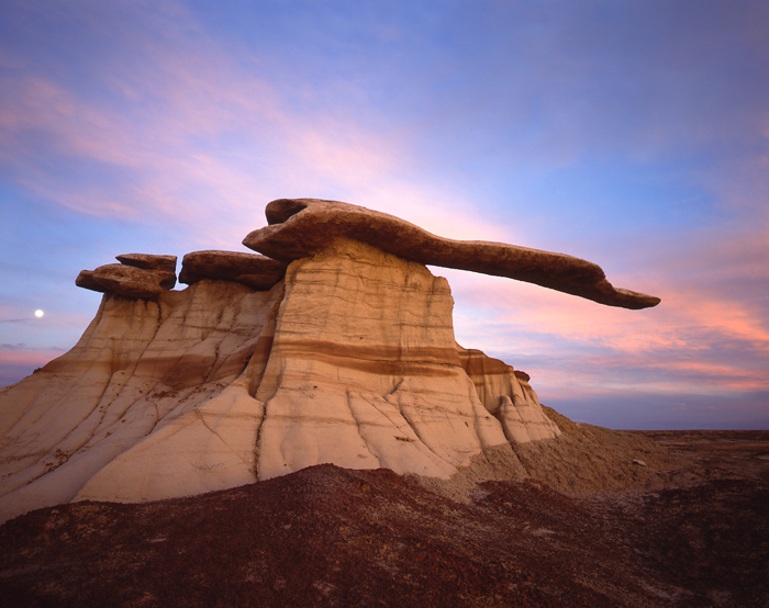 The Blade King of Wings, New Mexico - Tirage Cibachrome