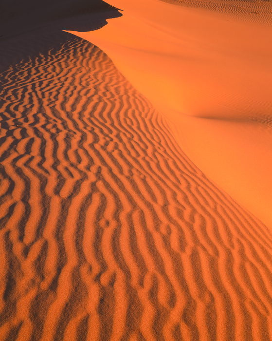 Coral Pink Sand Dune, Utah - Tirage Cibachrome