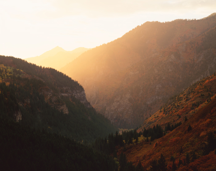 Uinta Forest, Utah