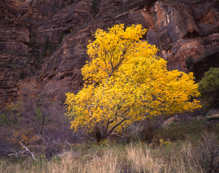 Zion National Park, Utah
