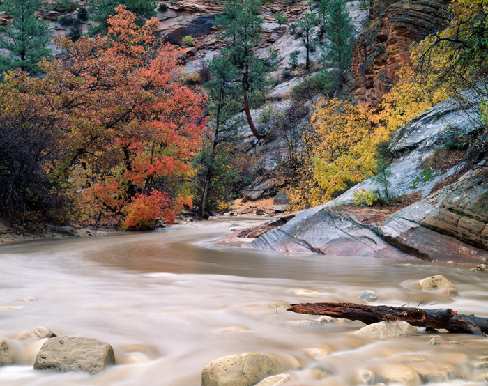 Pine Creek, Zion, Utah
