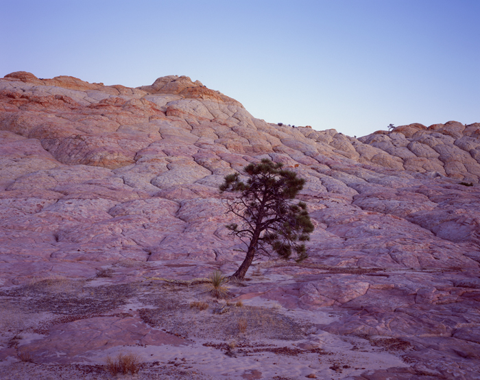 Vermilion Cliffs, Aizona
