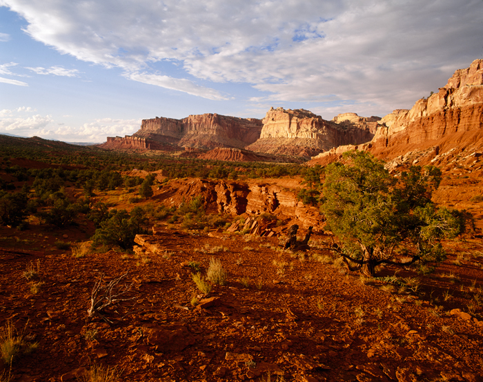 Capitol Reef, Utah