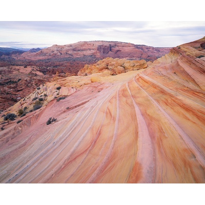 The Wave Paria Plateau, Arizona