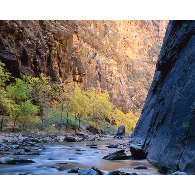 Temple of Sinawava Zion National Park, Utah