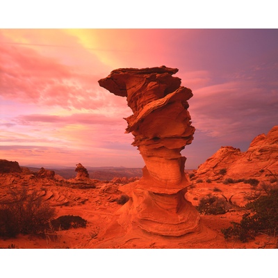 Cottonwood Cove Dali Rock, Arizona