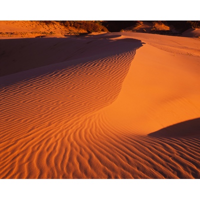 Coral Pink Sand Dune, Utah