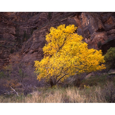 Zion National Park, Utah