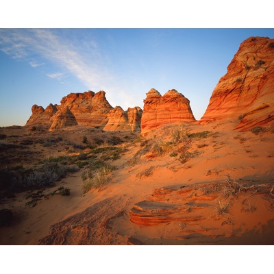 Cottonwood Cove Coyote Buttes, Arizona