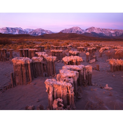 Tufa Mono Lake, California