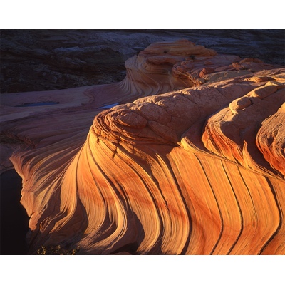 The Wave Vermilion Cliffs, Arizona