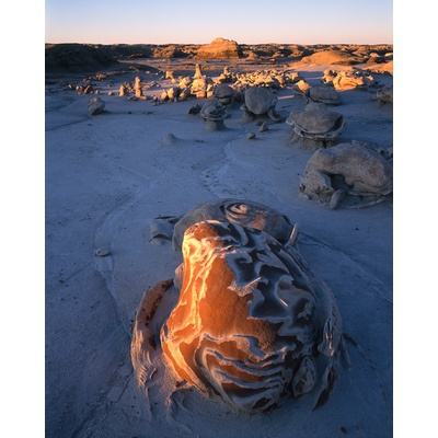 De Na Zin Eggs Shell Bisti Badlands, New Mexico