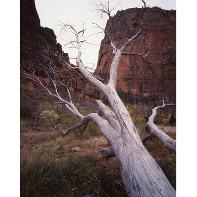 Angels Landing Zion National Park, Utah
