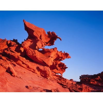 Raptor The Gold Butte Little Finland, Nevada