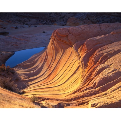 The Wave Vermilion Cliffs National Monument, Arizona