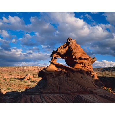 Dragon Land Vermilion Cliffs National Monument, Utah