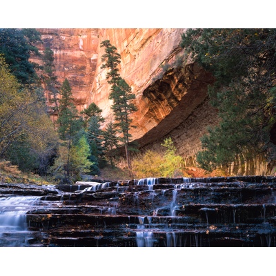 Subway Left Fork North Creek, Utah