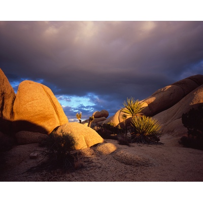 Jumbo Rock Sunset, Joshua Tree, California
