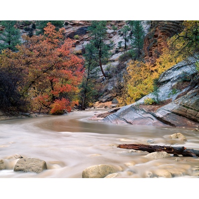 Pine Creek, Zion, Utah