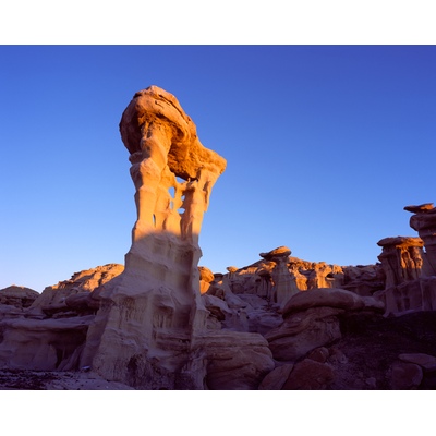 Alien, Bisti Badlands, New Mexico