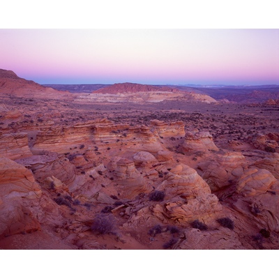 Twilight, Cottonwood Cove, Arizona