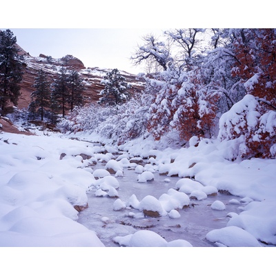 Zion National Park, Utah