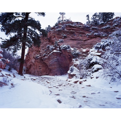 Zion Frozen, Utah
