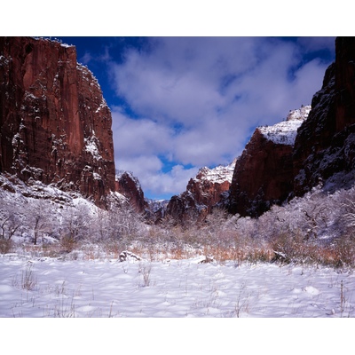 Zion, Snow, Sinawava, Utah