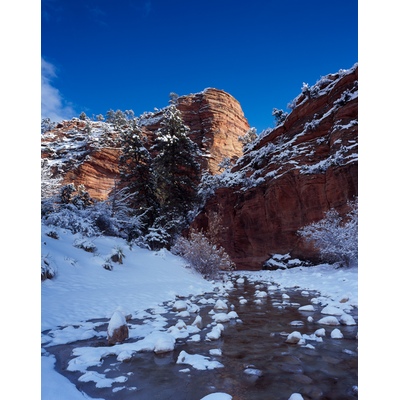 Zion Snow River, Utah