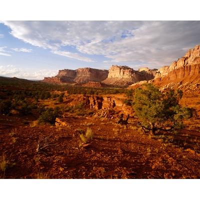 Capitol Reef, Utah