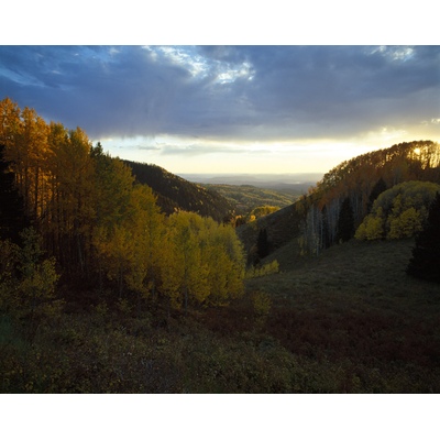 Nipple Mountain Road, Colorado