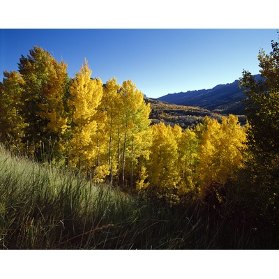 CR 858, Colorado