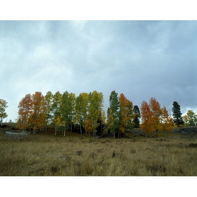Burned Mountain, New Mexico