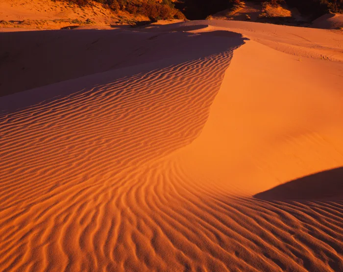 Coral Pink Sand Dune, Utah