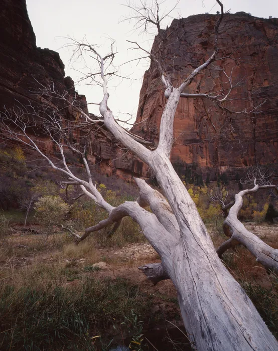 Angels Landing Zion National Park, Utah