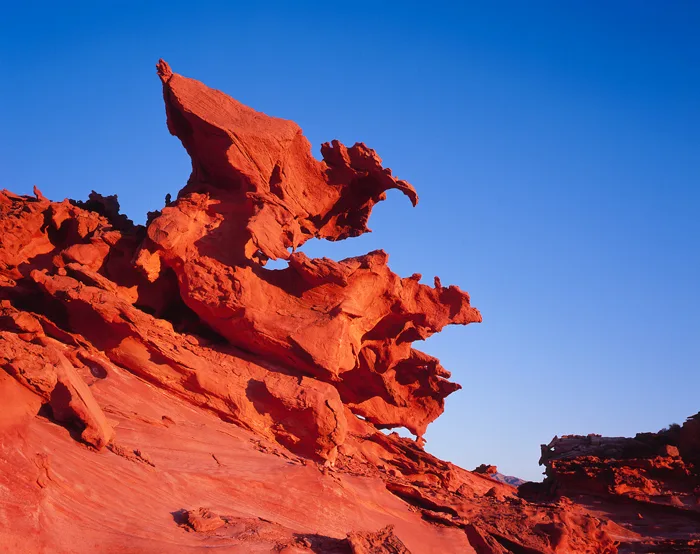 Raptor The Gold Butte Little Finland, Nevada