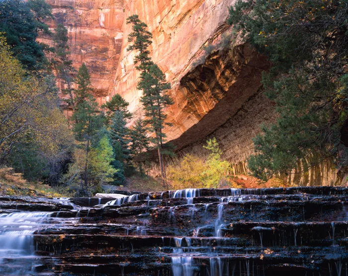 Subway Left Fork North Creek, Utah
