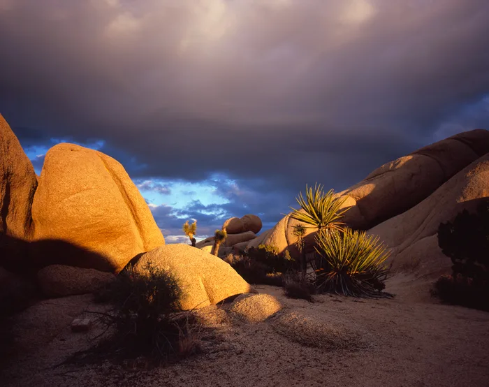 Jumbo Rock Sunset, Joshua Tree, California