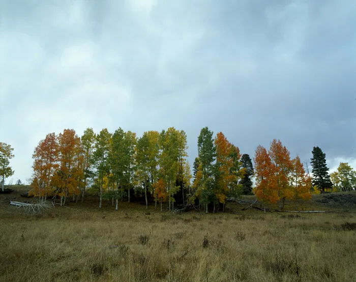 Burned Mountain, New Mexico