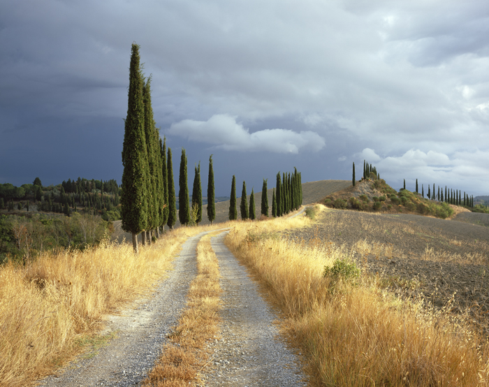 Gladiator, Toscane, Italie