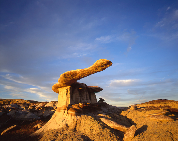 The Blade King of Wings, New Mexico - Voyager aux États-Unis