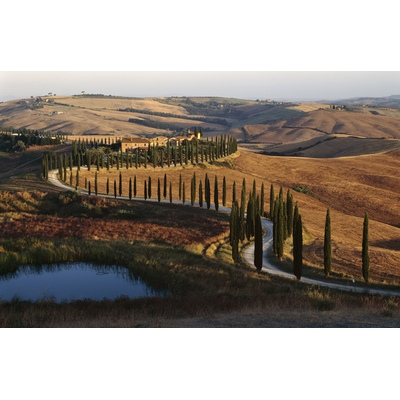 Route de Cyprès, Toscane, Italie