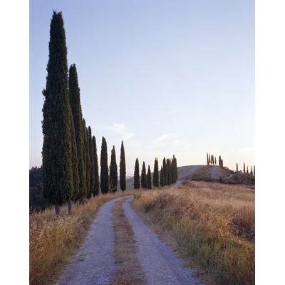Chemin, Toscane, Italie