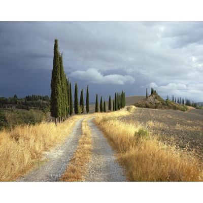 Gladiator, Toscane, Italie