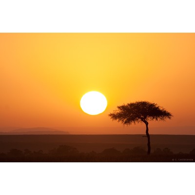 Lever de soleil, Masai Mara, Kenya
