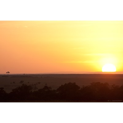 Lever de soleil, Masai Mara, Kenya