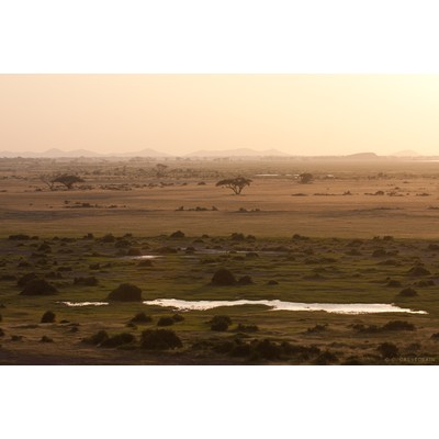 Coucher de soleil, Amboseli, Kenya