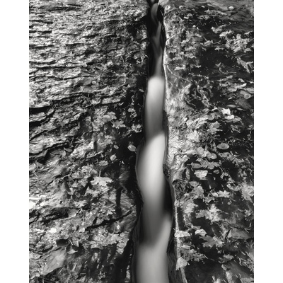 Subway Left Fork North Creek Zion National Park, Utah